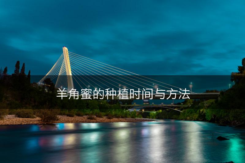 羊角蜜的种植时间与方法(图1)