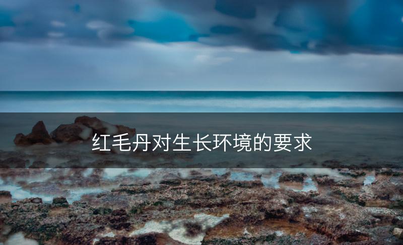 红毛丹对生长环境的要求(图1)