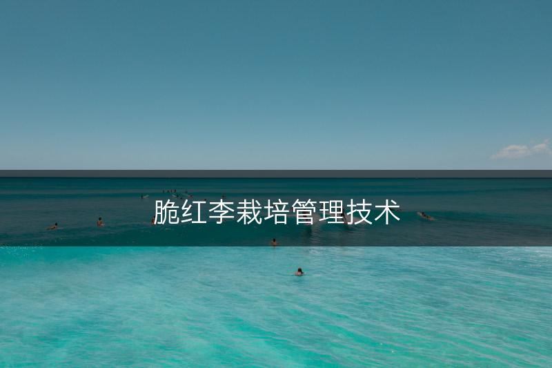 脆红李栽培管理技术(图1)