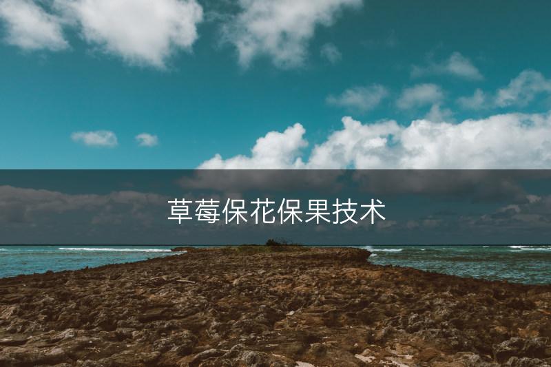 草莓保花保果技术(图1)