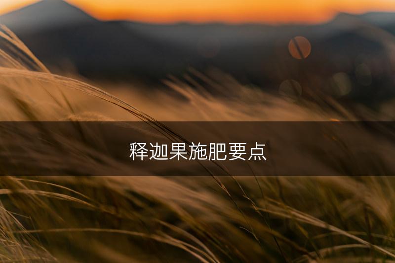 释迦果施肥要点(图1)