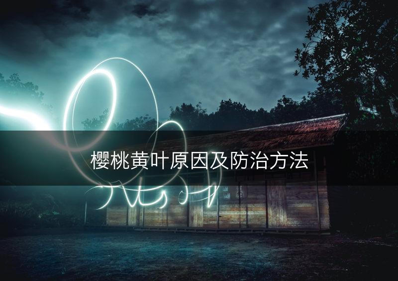 樱桃黄叶原因及防治方法(图1)