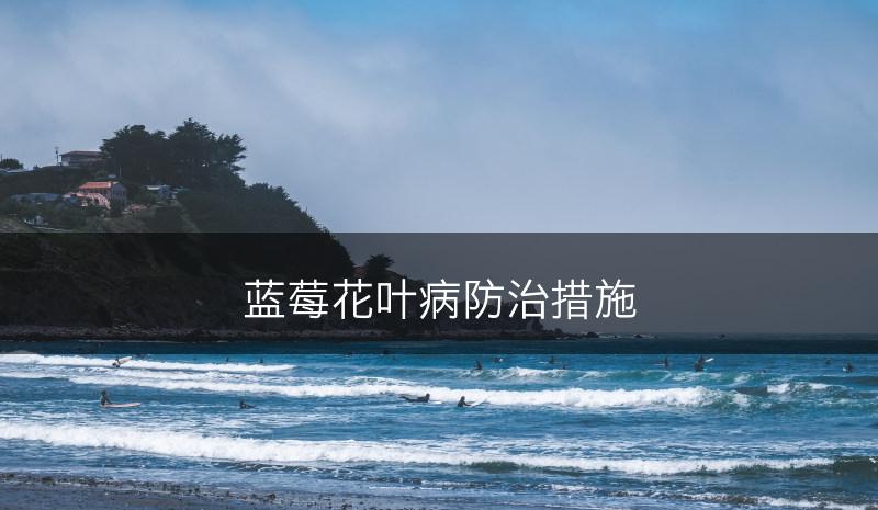 蓝莓花叶病防治措施(图1)