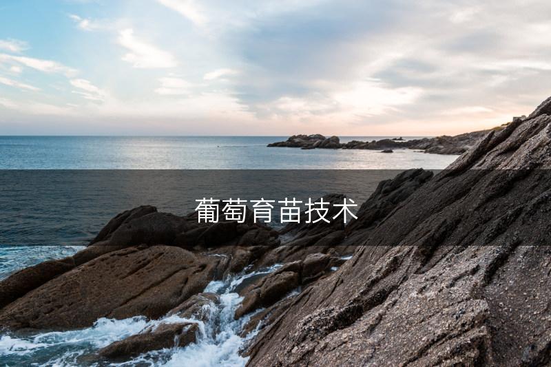 葡萄育苗技术(图1)