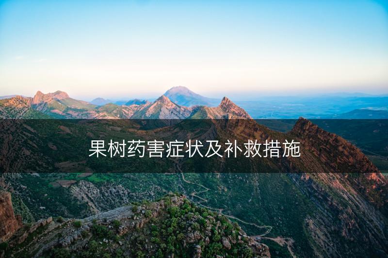 果树药害症状及补救措施(图1)