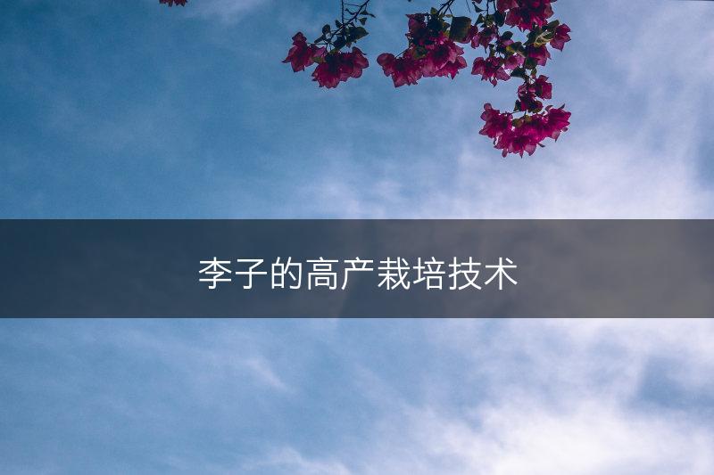 李子的高产栽培技术(图1)