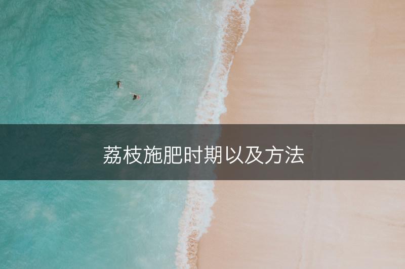 荔枝施肥时期以及方法(图1)