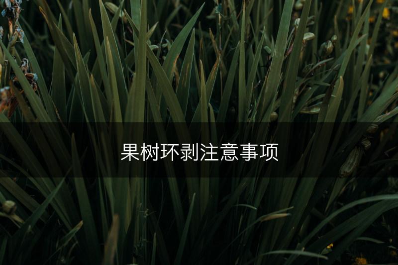 果树环剥注意事项(图1)