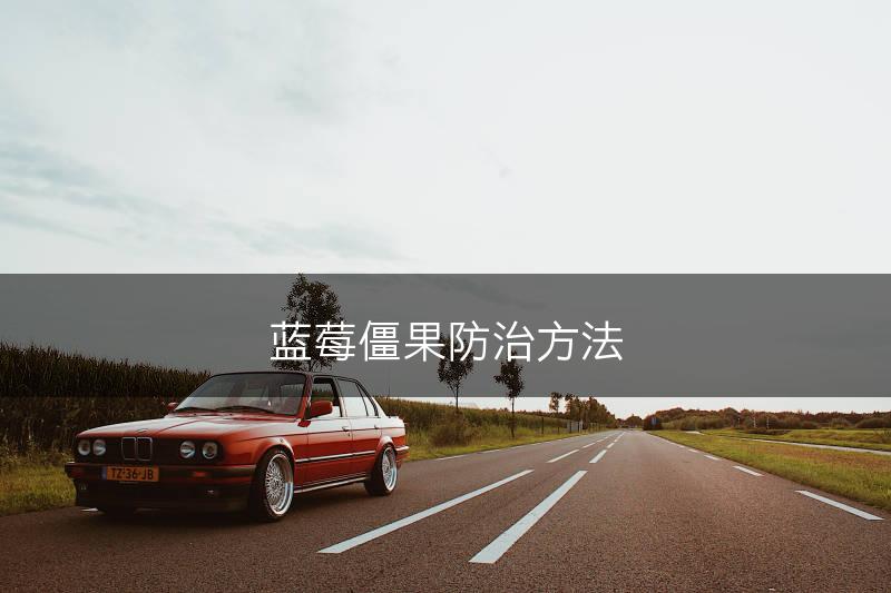 蓝莓僵果防治方法(图1)