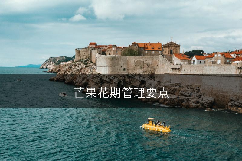 芒果花期管理要点(图1)