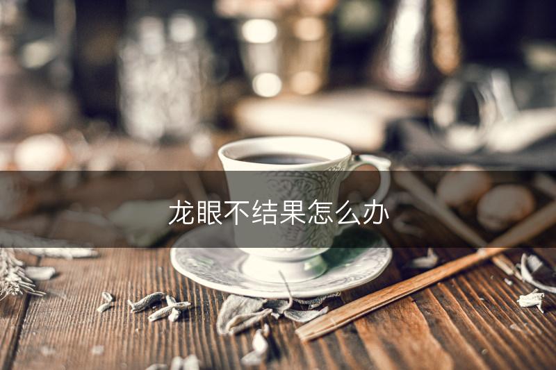 龙眼不结果怎么办(图1)