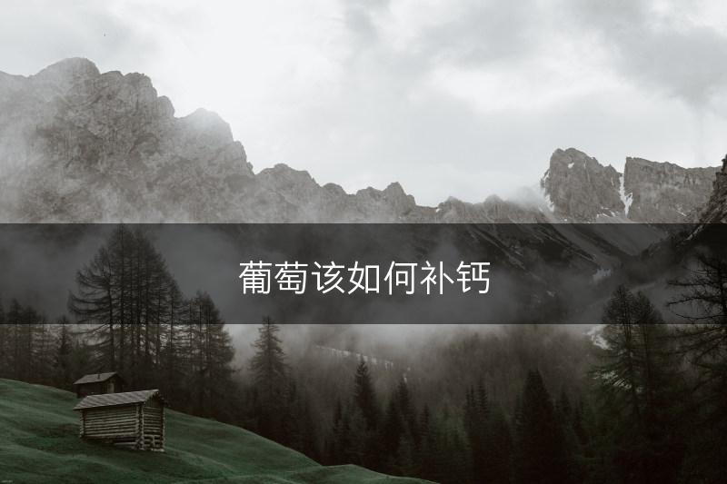 葡萄该如何补钙(图1)
