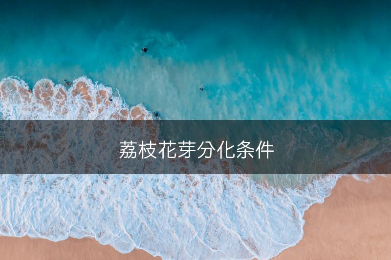 荔枝花芽分化条件(图1)