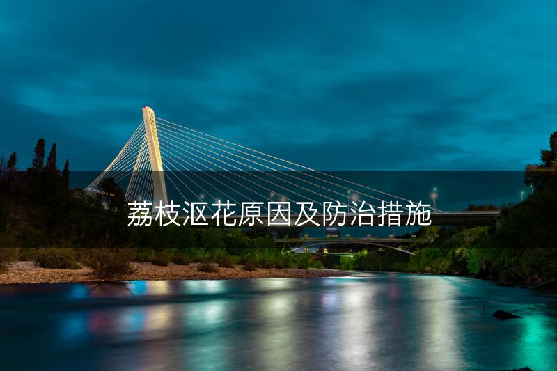 荔枝沤花原因及防治措施(图1)