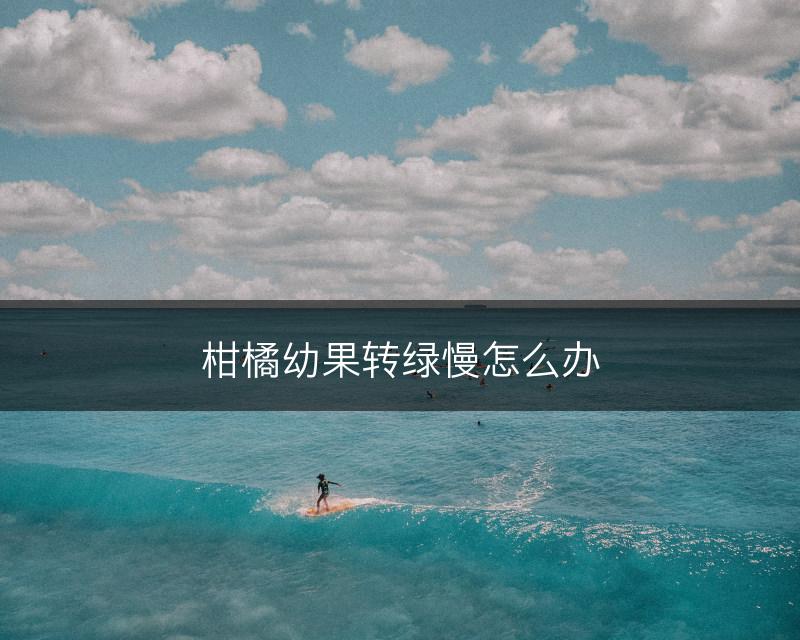 柑橘幼果转绿慢怎么办(图1)