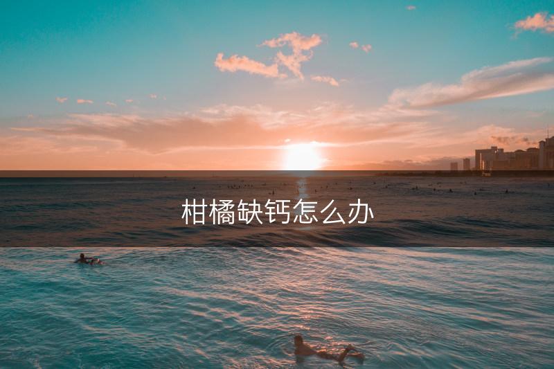 柑橘缺钙怎么办(图1)