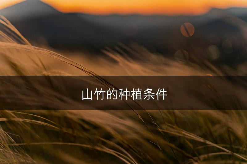 山竹的种植条件(图1)