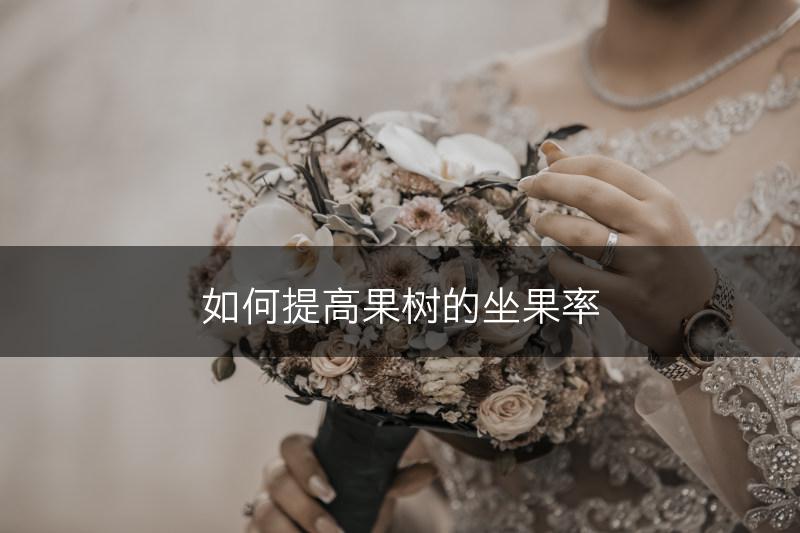 如何提高果树的坐果率(图1)