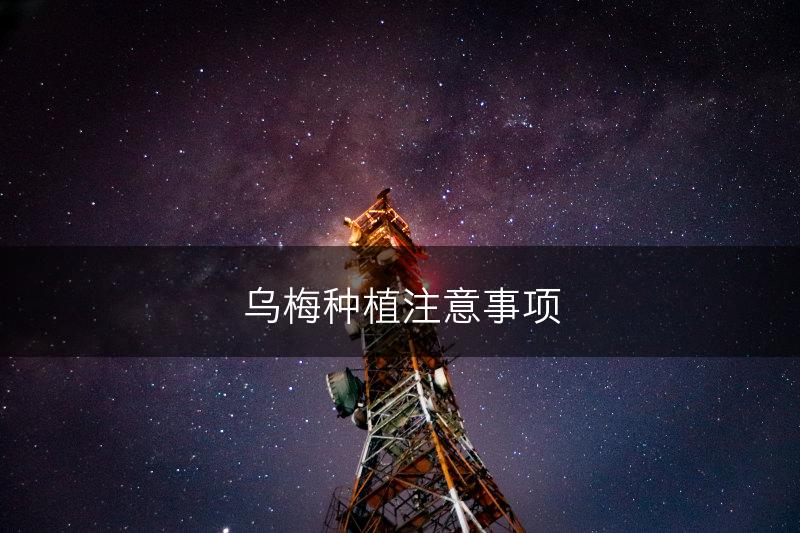 乌梅种植注意事项(图1)