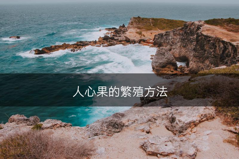 人心果的繁殖方法(图1)
