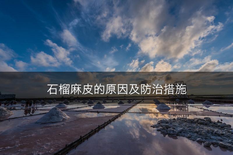 石榴麻皮的原因及防治措施(图1)