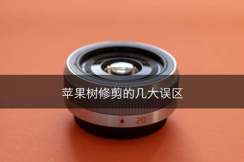 苹果树修剪的几大误区(图1)