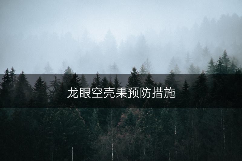 龙眼空壳果预防措施(图1)
