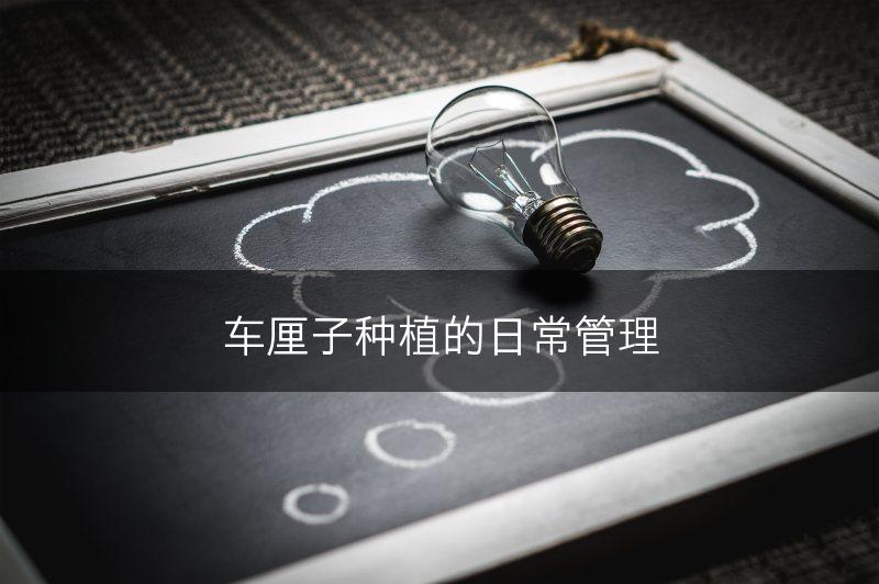 车厘子种植的日常管理(图1)