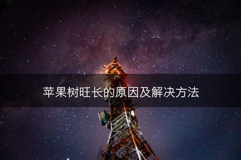 苹果树旺长的原因及解决方法(图1)