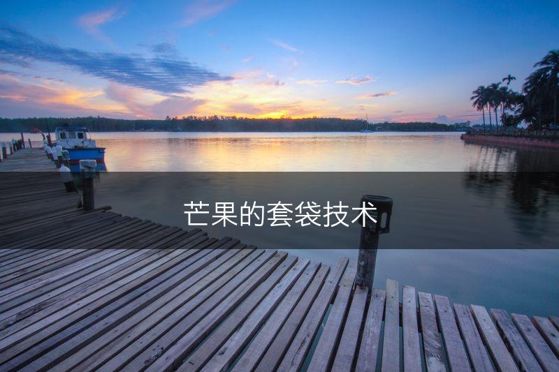 芒果的套袋技术(图1)