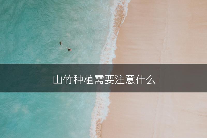 山竹种植需要注意什么(图1)