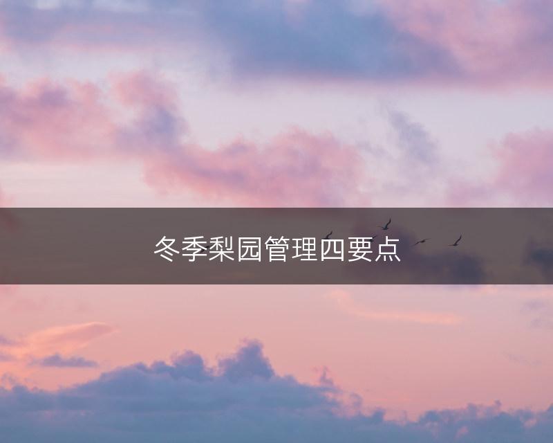冬季梨园管理四要点(图1)