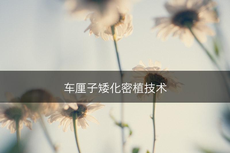 车厘子矮化密植技术(图1)