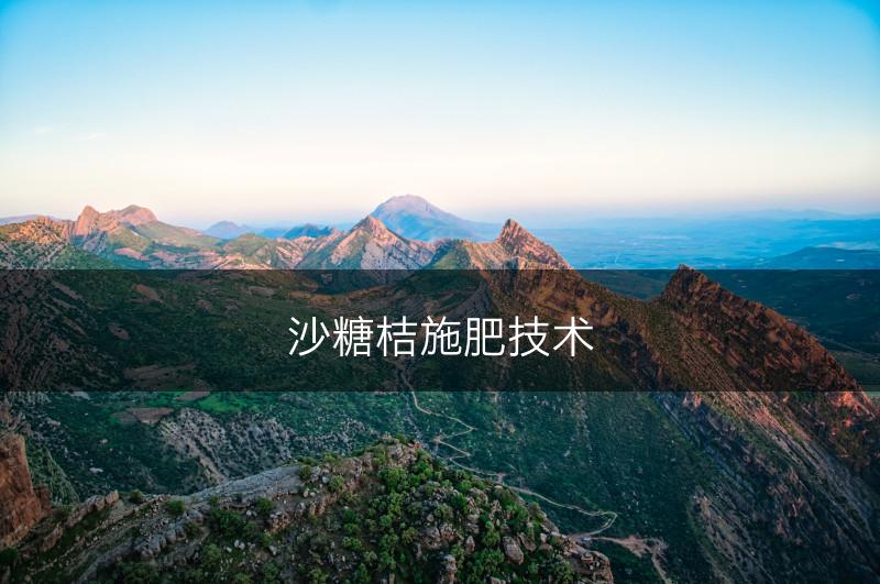 沙糖桔施肥技术(图1)