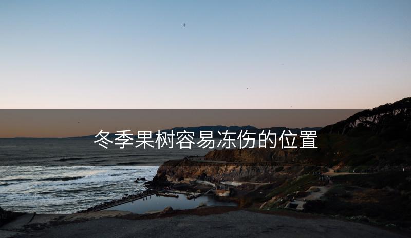 冬季果树容易冻伤的位置(图1)