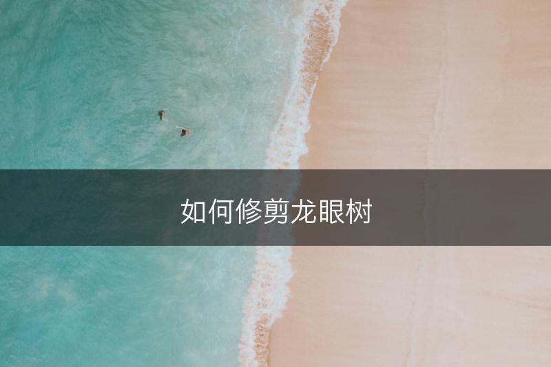 如何修剪龙眼树(图1)