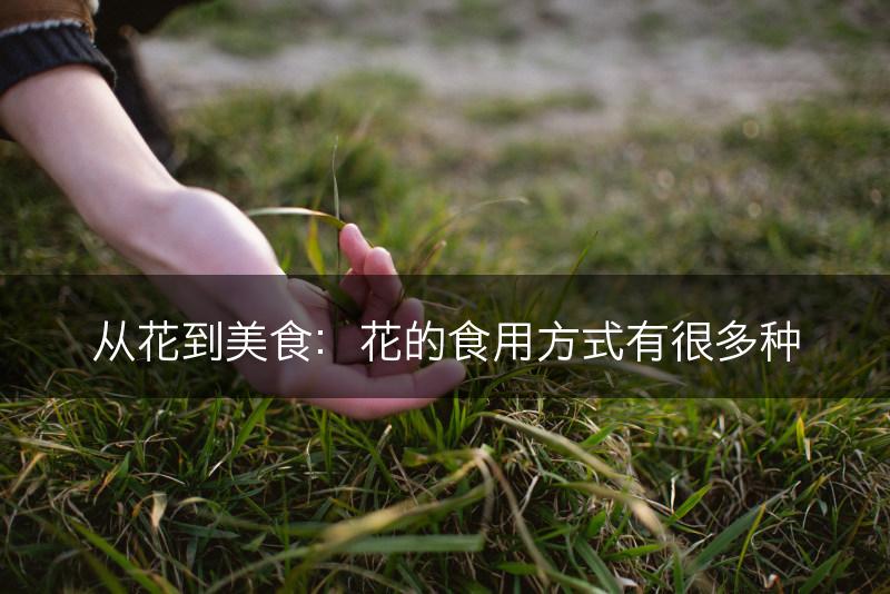从花到美食：花的食用方式有很多种(图1)