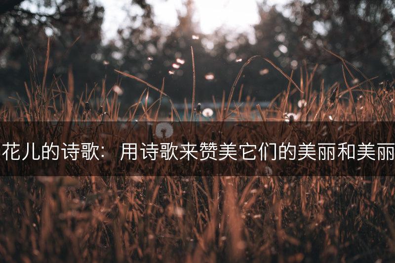 花儿的诗歌：用诗歌来赞美它们的美丽和美丽(图1)