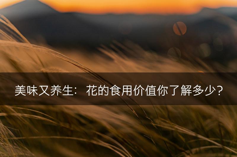 美味又养生：花的食用价值你了解多少？(图1)