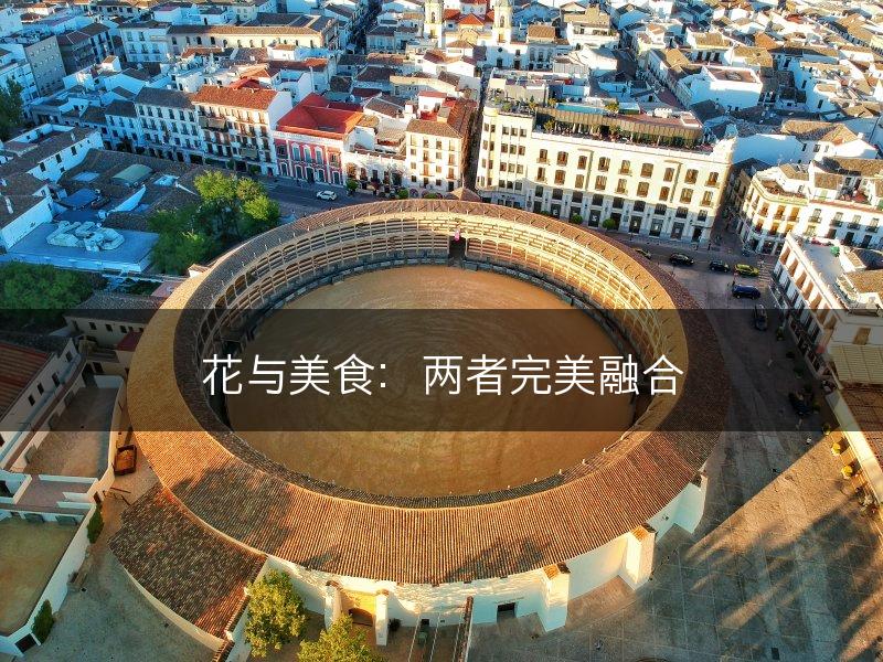 花与美食：两者完美融合(图1)