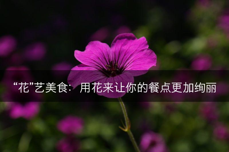 “花”艺美食：用花来让你的餐点更加绚丽(图1)
