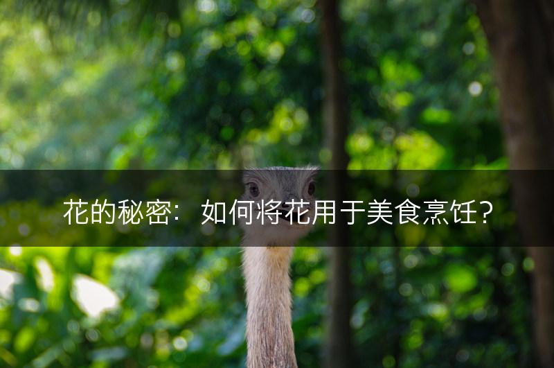 花的秘密：如何将花用于美食烹饪？(图1)