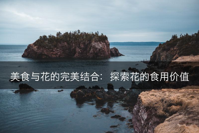 美食与花的完美结合：探索花的食用价值(图1)