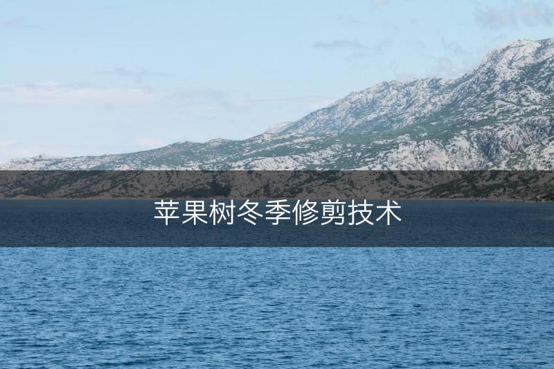 苹果树冬季修剪技术(图1)