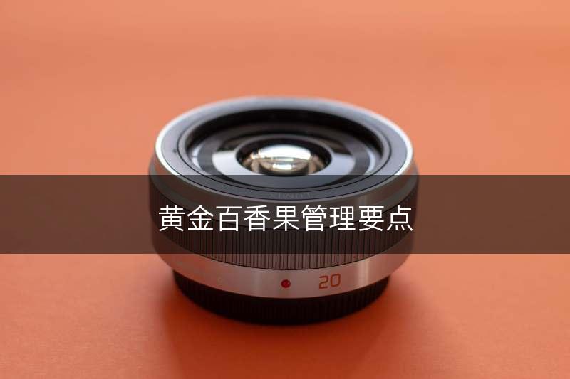 黄金百香果管理要点(图1)