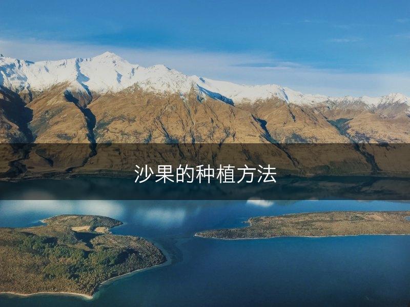 沙果的种植方法(图1)