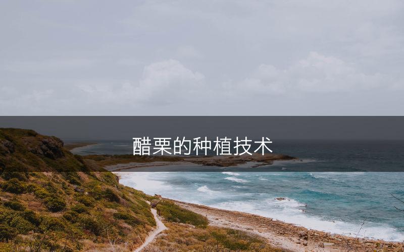 醋栗的种植技术(图1)