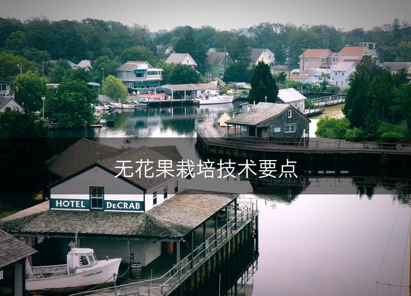 无花果栽培技术要点(图1)