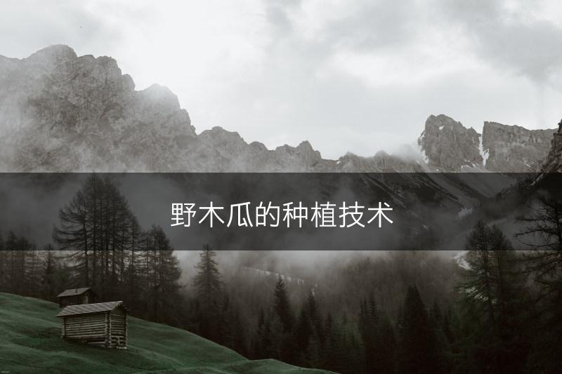 野木瓜的种植技术(图1)