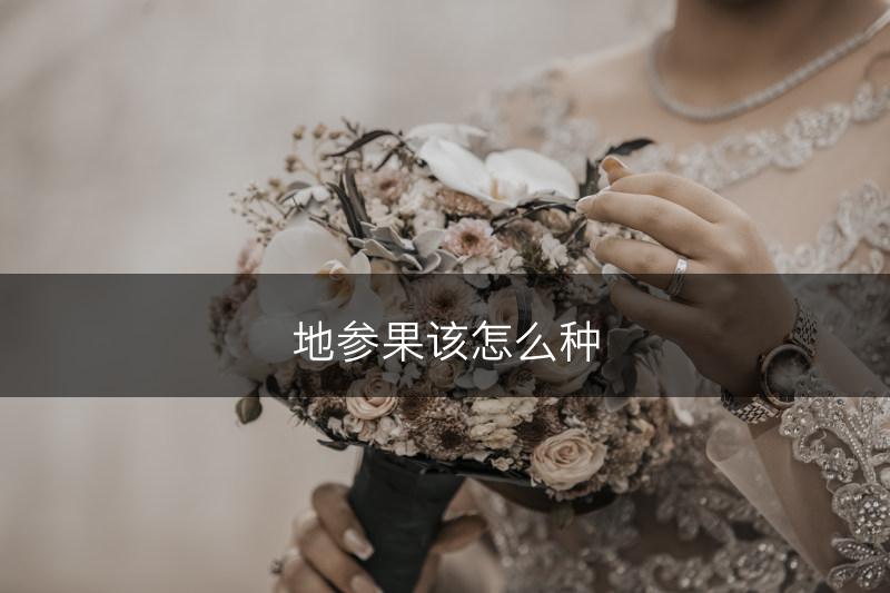 地参果该怎么种(图1)